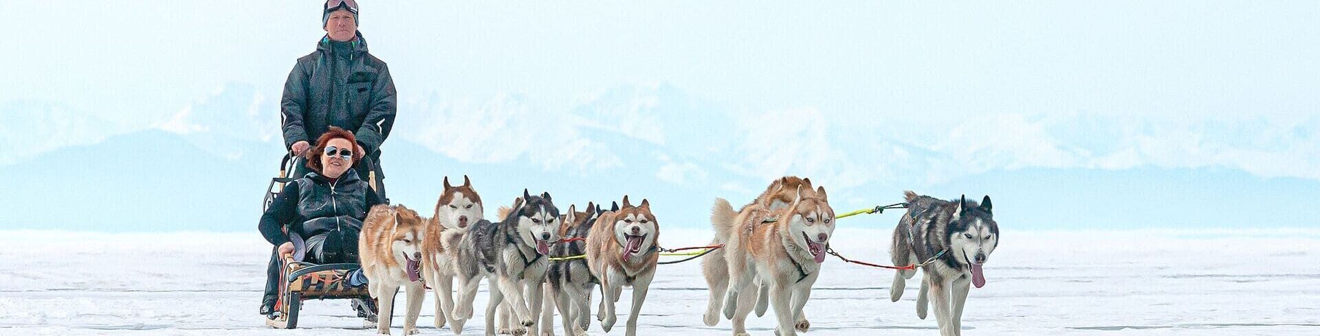 musher