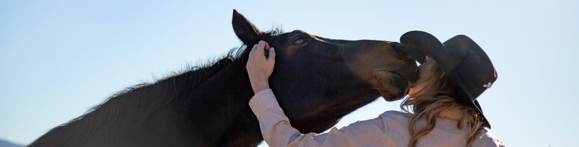 éleveur de chevaux