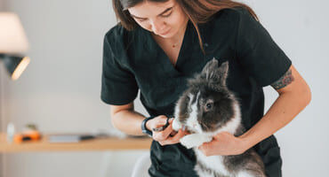 formations métiers animaliers
