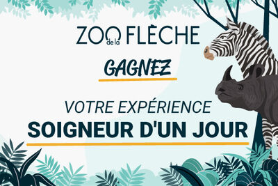 jeu soigneur d'un jour au zoo de la flèche
