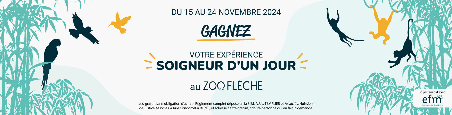 Soins animaliers : vétérinaire, auxiliaire de santé, etc.