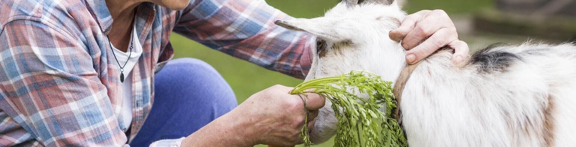 Lancez votre carrière de soigneur animalier grâce à une formation