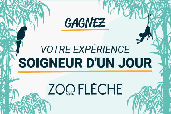 exprience soigneur animalier