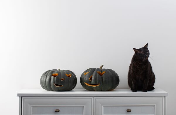 chat halloween