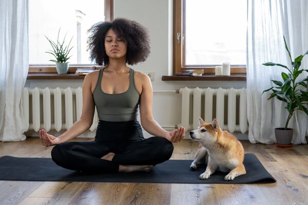 yoga avec les chiots