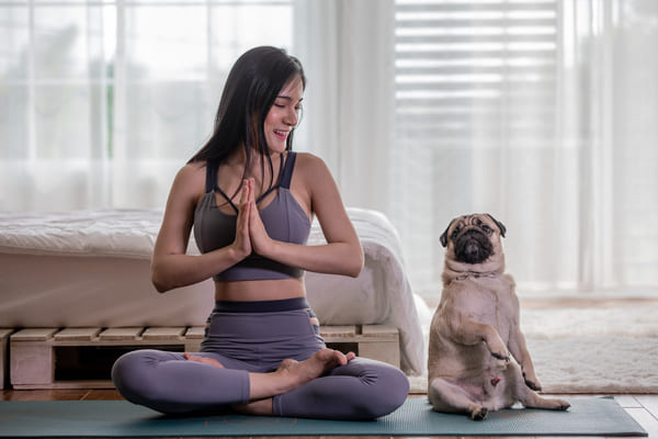 yoga avec les chiens