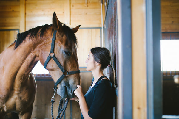 comportementaliste equin