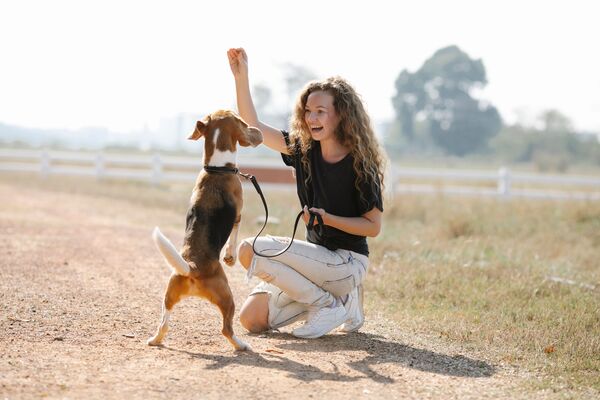 brevet educateur canin